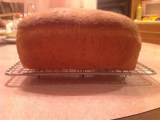 Whole wheat bread